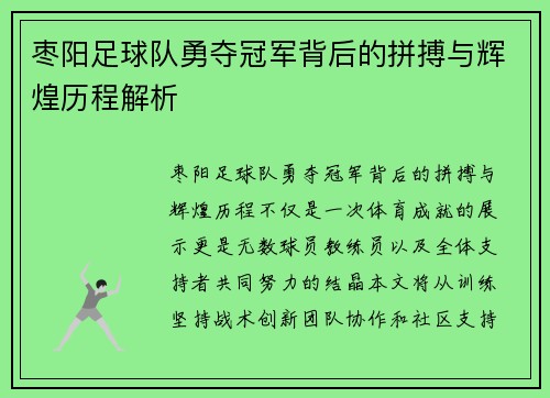枣阳足球队勇夺冠军背后的拼搏与辉煌历程解析