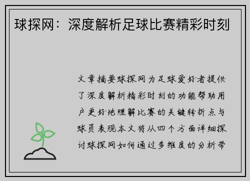 球探网：深度解析足球比赛精彩时刻