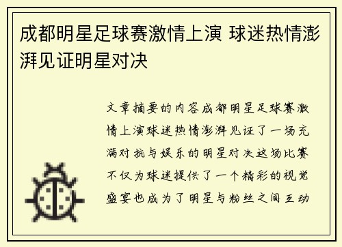 成都明星足球赛激情上演 球迷热情澎湃见证明星对决