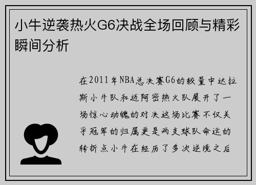 小牛逆袭热火G6决战全场回顾与精彩瞬间分析