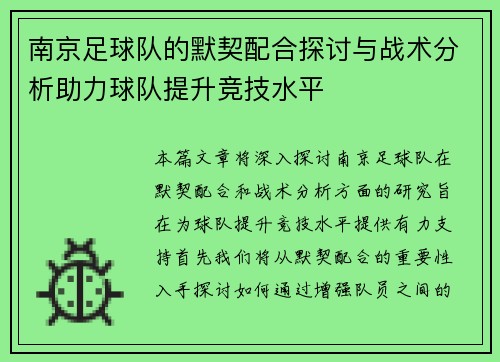 南京足球队的默契配合探讨与战术分析助力球队提升竞技水平